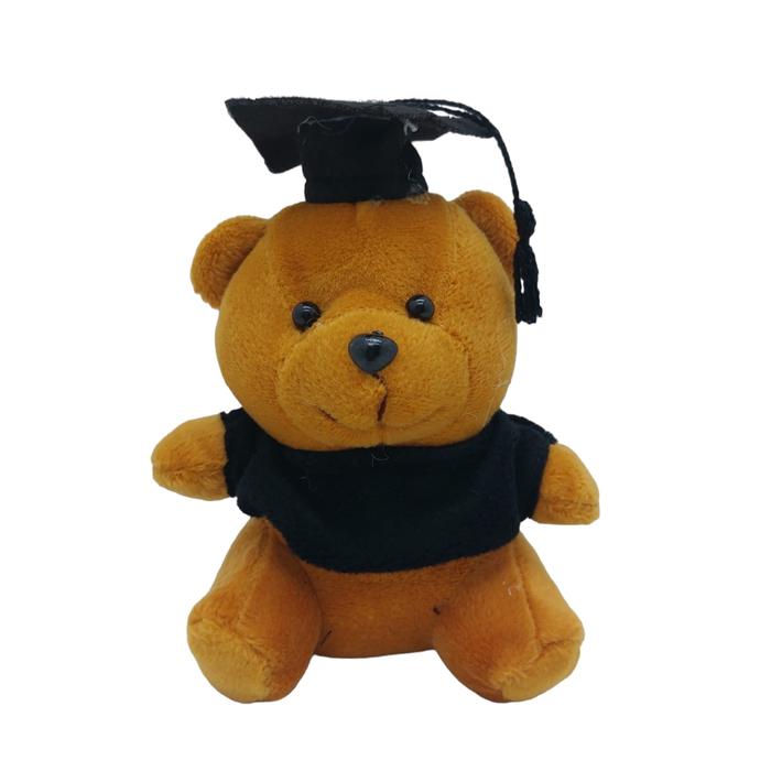 Gambar Boneka Wisuda Beruang 14 cm Teddy Bear Graduation Doll - Cokelat dari Joyshopbdg undefined Tokopedia