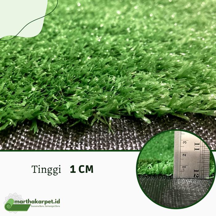 Gambar Karpet Rumput Palsu, Rumput Sintetis 1x2M 20mm- Artificial Grass - 10mm dari Martha Karpet Indonesia undefined Tokopedia