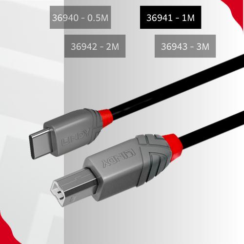 Gambar Kabel Printer & Audio Interface Lindy USB 2.0 Type C to Type B Male to Male - 36941 - 1M dari LINDY INDONESIA undefined Tokopedia