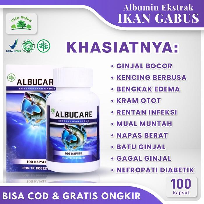 Gambar Obat Ginjal Bocor Herbal Kaki Bengkak Kencing Berbuih, Albucare Kapsul dari Iki Herbal undefined Tokopedia