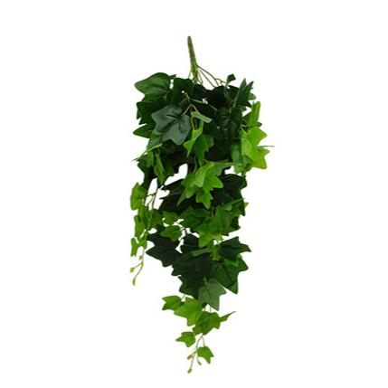 Gambar DAUN HIAS/ DAUN PALSU/ DAUN DEKORASI/ DAUN IMPORT/ MEDIUM IVY HANGING dari Evergreen Trees Shop undefined Tokopedia