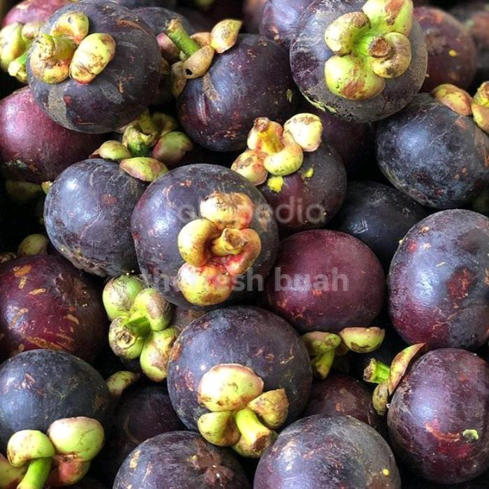 Gambar buah manggis 1 kg dari thefresh buah undefined Tokopedia