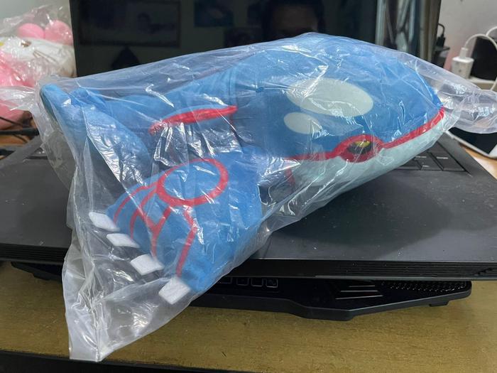 Gambar Boneka Kyogre 32cm Boneka Pokemon New Ada Tag LIMITED EDITION - 35CM NO TAG dari NEWDSTORE undefined 5 Tokopedia