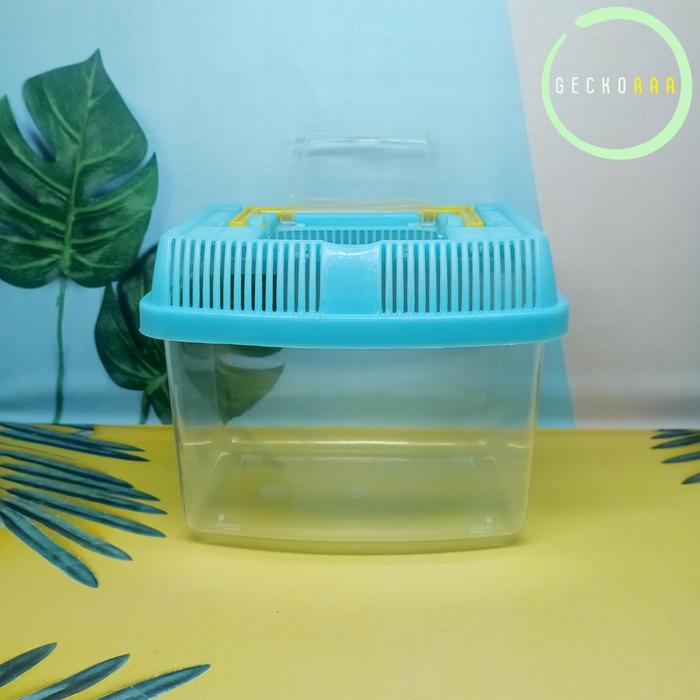Gambar Terarium Reptil Gecko Kura Serangga Hamster (Sweet Terrarium No 1) - Orange dari GeckoRaa undefined Tokopedia