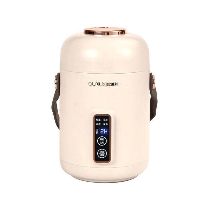 Gambar Portable Electric Kettle Smart Touch LED Display for Travel 700ML - VINTAGE WHITE dari TOKO SINYO undefined Tokopedia