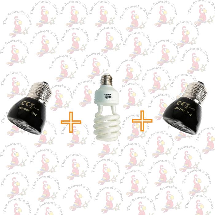 Gambar Inkubator box Penghangat anakan burung box brooder inkubator JZ10 - heating uvb dari The Animal&#39;s Zone undefined Tokopedia