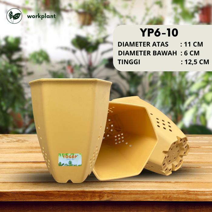 Gambar Pot Yogap Segi 6 - Ukuran 10 Pot Bunga Tanaman Hias Premium Tebal - Kuning dari workplant official undefined Tokopedia