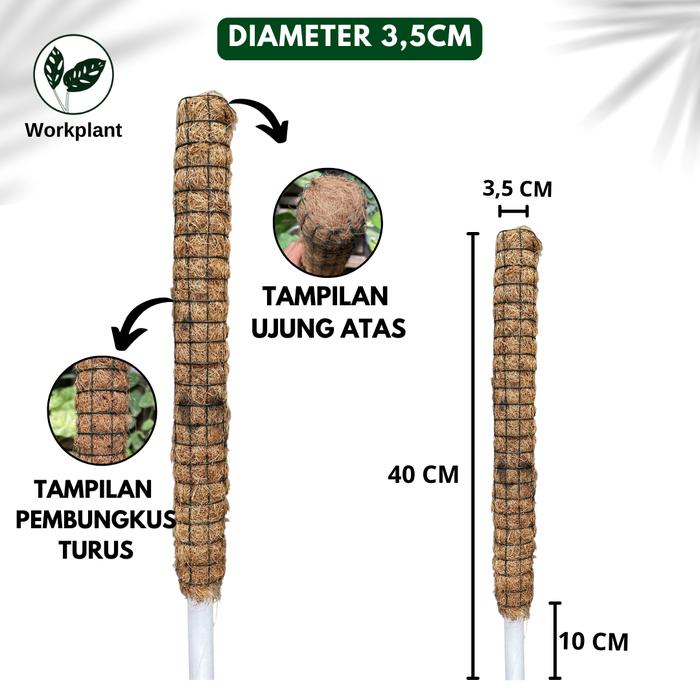 Gambar Turus Serabut 40cm - Turus Penyangga Tanaman Merambat Tanaman Hias dll - Diameter 3,5cm dari workplant official undefined Tokopedia