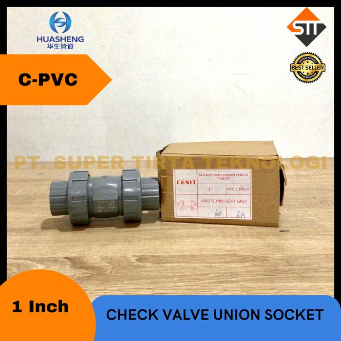 Gambar C-PVC Check Valve Union Socket Sch.80 PN10 - 1 Inch dari STT-Stores undefined Tokopedia