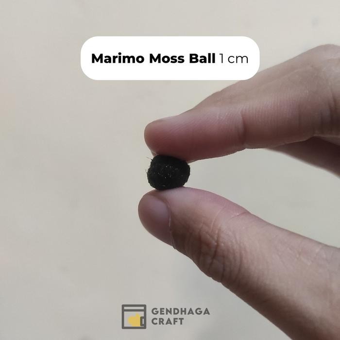 Gambar [Extra] Tiny Marimo - Marimo Moss Ball (Satuan) | Marimo Hidup - 1cm dari Gendhaga Craft and Gift undefined Tokopedia