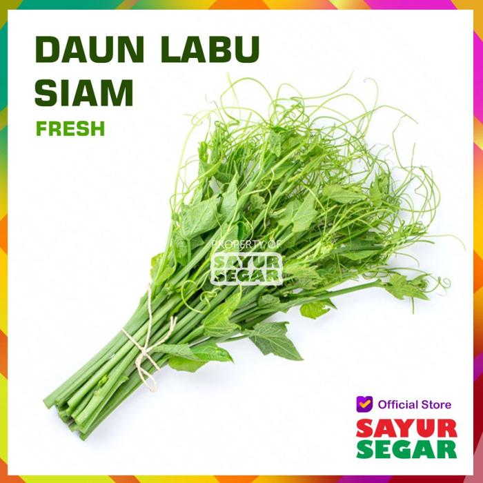 Gambar DAUN LABU SIAM - SAYUR [1 Ikat] - Daun Labu Siam dari Sayur Segar undefined Tokopedia