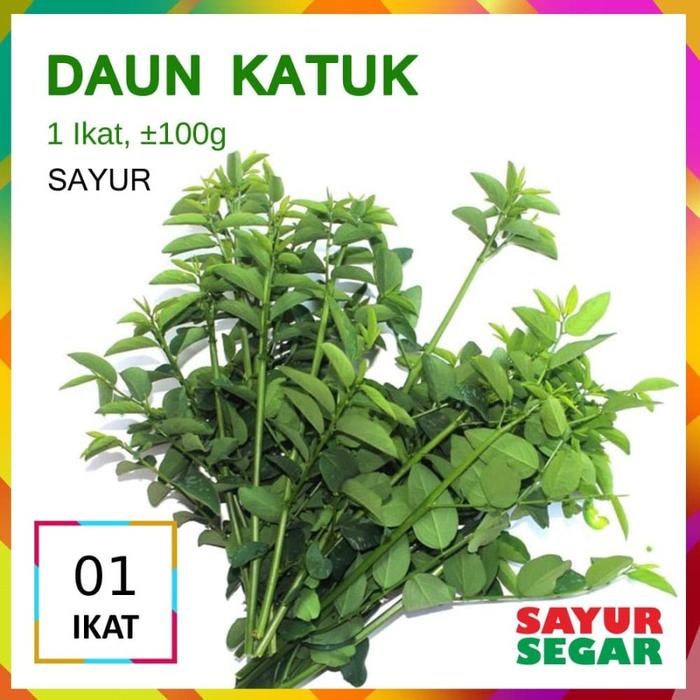 Gambar KANGKUNG SAYUR [1 Ikat, ±150g] - Daun Katuk dari Sayur Segar undefined Tokopedia