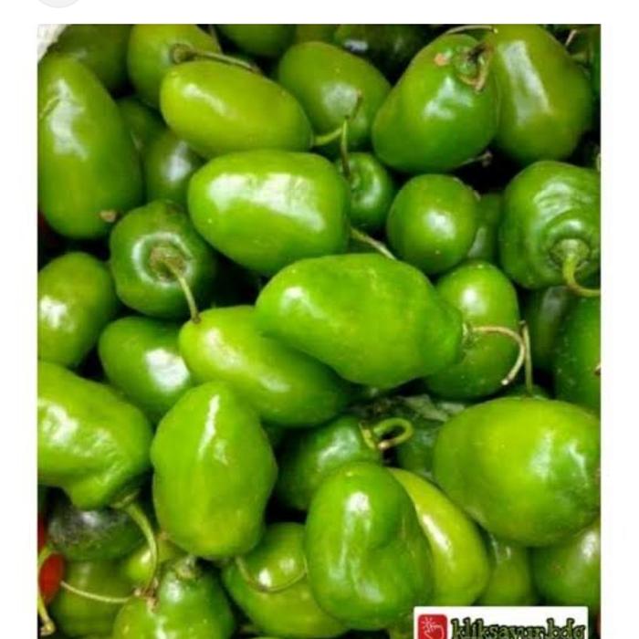 Gambar cabe gendot 100gram dari sayuran PSD undefined Tokopedia