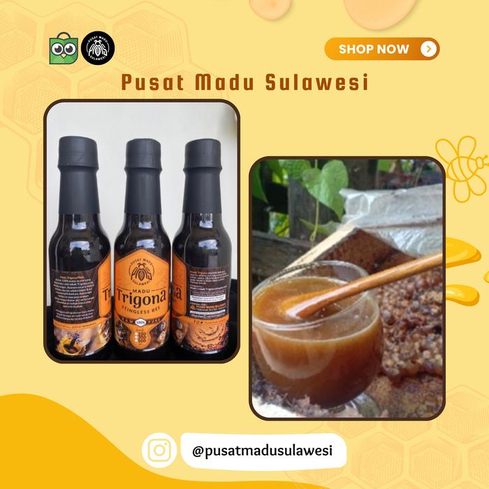 Gambar Madu Trigona Propolis 250 ml dari Pusat Madu Sulawesi undefined Tokopedia