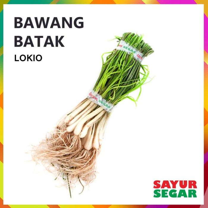 Gambar BAWANG BATAK / LOKIO / LENGKIO [1 Ikat] - Bawang Batak dari Sayur Segar undefined Tokopedia