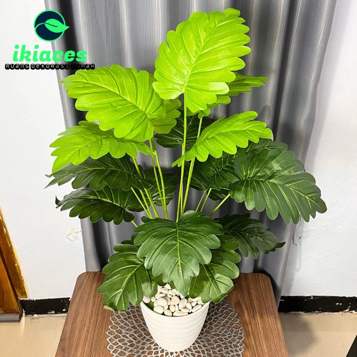 Gambar DAUN KELADI ARTIFISIAL POHON PLASTIK JUMBO DEKORASI TANAMAN HIAS MURAH - POT PUTIH dari ikiaces undefined Tokopedia