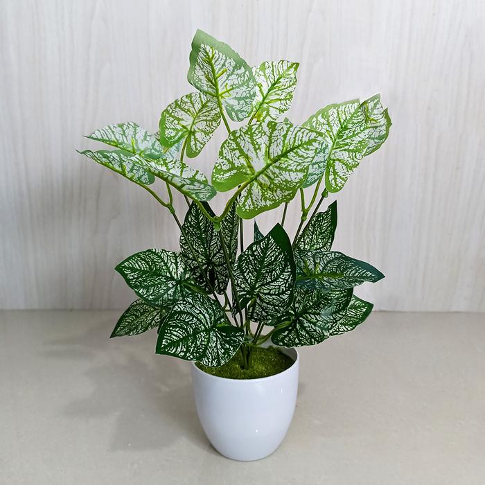 Gambar Tanaman Hias Daun Keladi Plastik Artificial Ornamen Dekorasi Rumah - Varian 05 dari UNICO.indonesia undefined Tokopedia