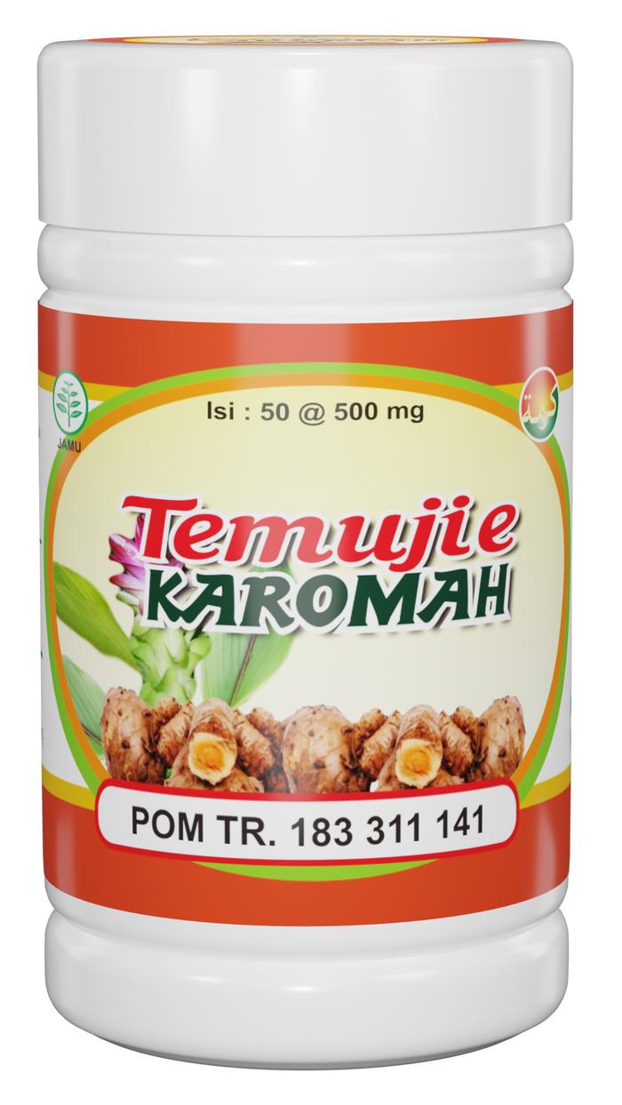 Gambar Obat Herbal Sakit Lambung, Maag, Liver, Hepatitis,penyakit kuning - TEMUDJIE dari Tokodenatureherbal undefined Tokopedia