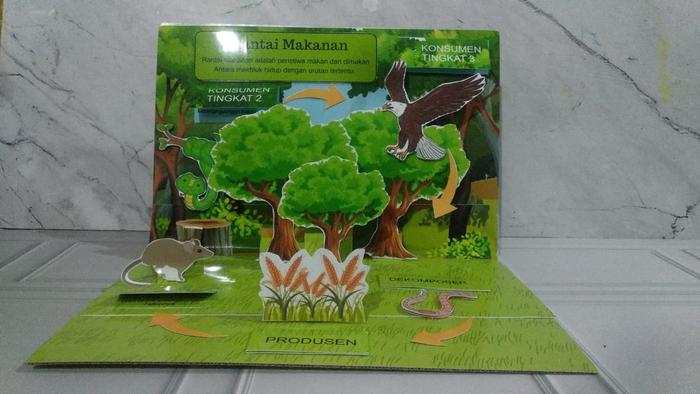 Gambar Pop up book DIY rantai makanan / tugas sekolah / prakarya dari duniaindustri undefined Tokopedia