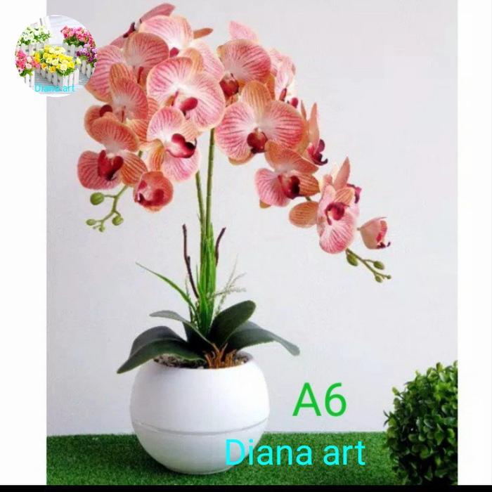 Gambar anggrek jumbo latex#anggrek bulan latex#anggrek hias#bunga anggrek# - a6 dari Bunga plastik Diana Art undefined Tokopedia