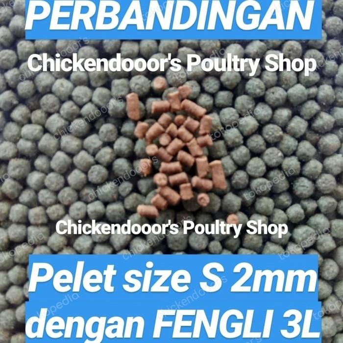 Gambar Pakan koi FENG LI 3 FENGLI 3L shinking feed pelet ikan mas koki 1/2kg dari chickendooors ps undefined Tokopedia