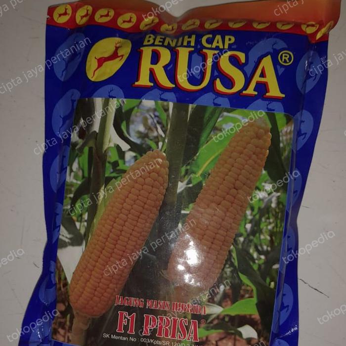 Gambar Benih jagung manis F1 PRISA cap Rusa -250gr dari cipta jaya pertanian undefined Tokopedia