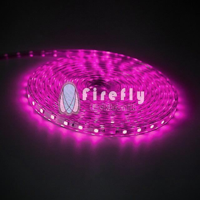 Gambar PAKET Lampu Led Strip Selang 5050(lampu strip+ Socket+tutup )1-30Meter - Pink, 1M+Soket+Tutup dari Firefly Elektronik undefined Tokopedia