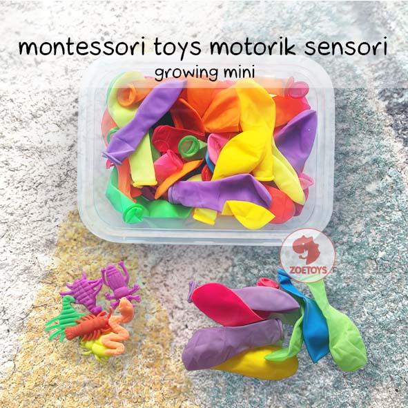 Gambar Zoetoys Montessori Toys Motorik Sensori | mainan edukasi | mainan anak - Growing Mini dari Zoetoys undefined Tokopedia