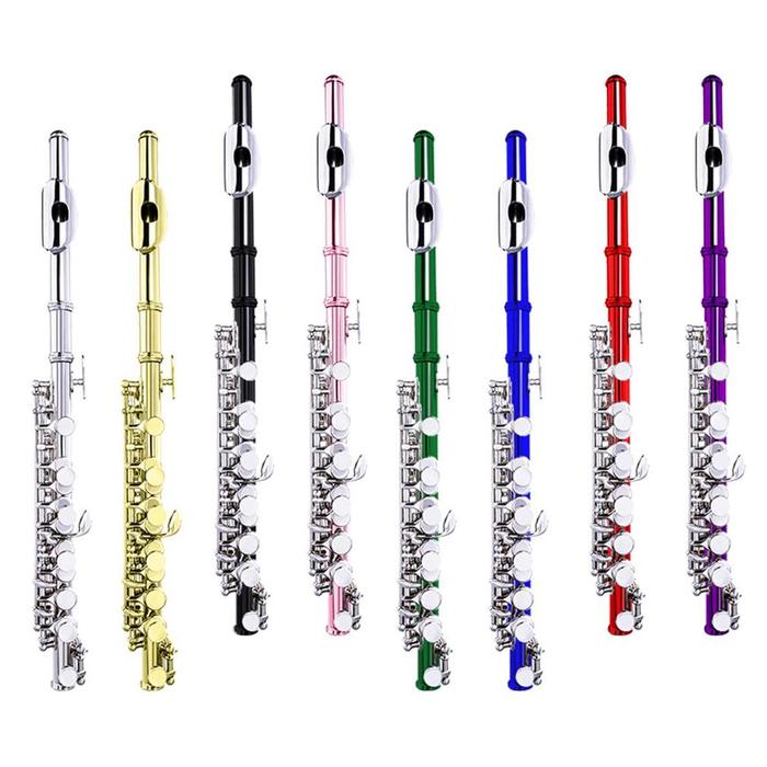 Gambar New Great Cupro Piccolo C Musical Instrument and Cleaning Rod Sound dari Benua Sport Mall undefined Tokopedia