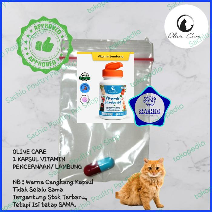 Gambar Vitamin Lambung Kucing Isi10Kapsul OLIVE CARE Mencret/DiareAkut/PupDrh - 1 KAPSUL dari KICHIRO Pet & Poultry Shop undefined Tokopedia
