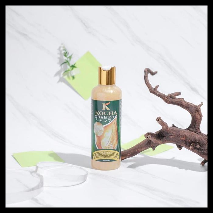 Gambar Shampoo Obat Rambut Rontok Parah dan Anti Ketombe Paling Ampuh by - Shampo @250ml dari tokobeng1 undefined Tokopedia