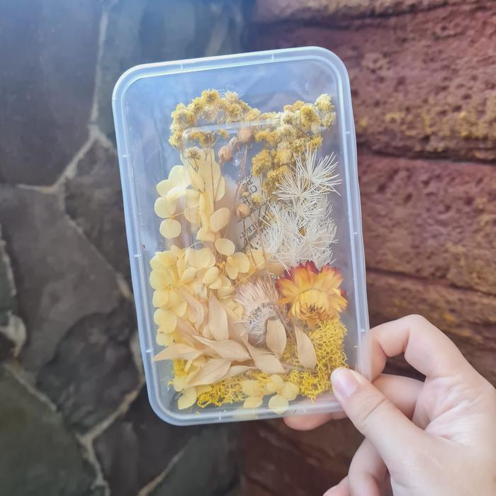 Gambar 1 Paket bunga kering import flower random dried flowers dome glass hiasan - Yellow dari bulbmeid undefined Tokopedia