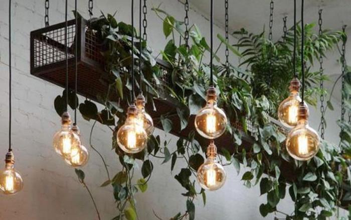Gambar Kabel fitting lampu kafe gantung outdoor high quality - 10m-10fit BAGUS dari Energy Lighting undefined Tokopedia