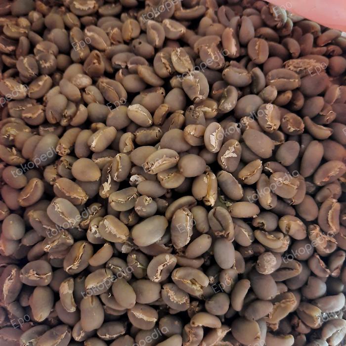 Gambar Biji Kopi 1 Kg, Greenbean Arabika Gayo Lot Tawar - Aceh Tengah dari Epo undefined Tokopedia