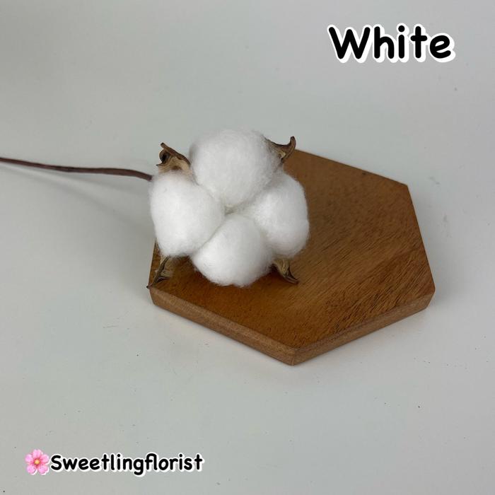 Gambar Bunga Kapas Kering / Dried Cotton Flower Ecer Per Tangkai - White dari Sweet Ling Florist undefined Tokopedia