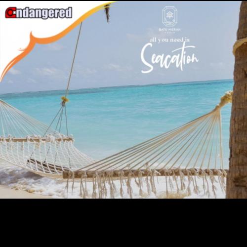 Gambar Paket Wisata Tour Batu Merah Kabin Pulau Payung Kepulauan Seribu - Paket 3D2N, Extrabed dari Endangered Store undefined Tokopedia