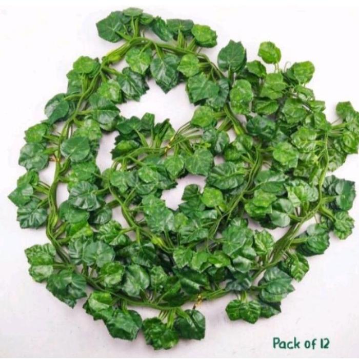 Gambar DAUN RAMBAT ANGGUR DAUN RAMBAT IVY DAUN RAMBAT Aesthetic - Anggur, 200cm dari tokokeikoni undefined Tokopedia