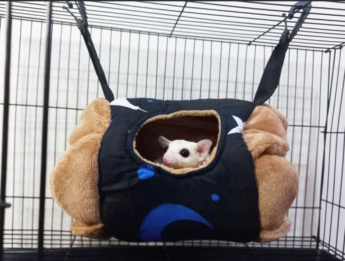 Gambar sleeping pouch model Flower untuk sugar glider sg nyaman dan lembut - black moon dari Jaya berkah Teeshop undefined Tokopedia