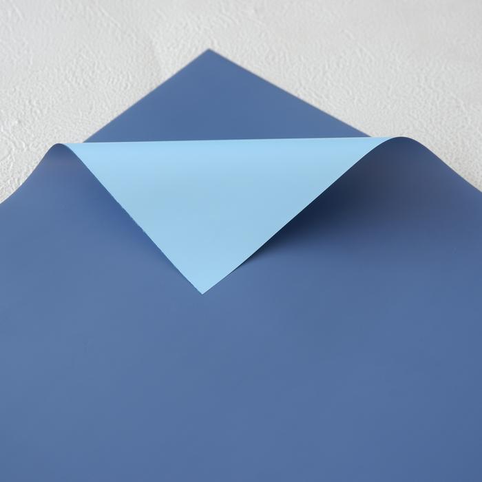 Gambar [5 lembar] Bicolor Pastel Flower wrap/kertas bunga/cellophane - FWW - CarBlue-Biru.M dari FLOPY - Floristsupply undefined Tokopedia