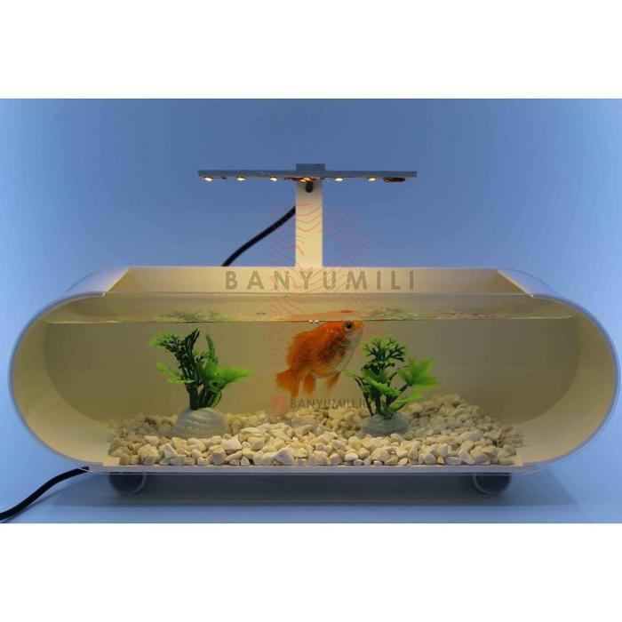 Gambar TERMURAH AQUARIUM / AKUARIUM MINI IKAN HIAS FULL SET , LAMPU LED + - Warm white, 30x10x9cm dari TOKO TELUWOLU undefined Tokopedia