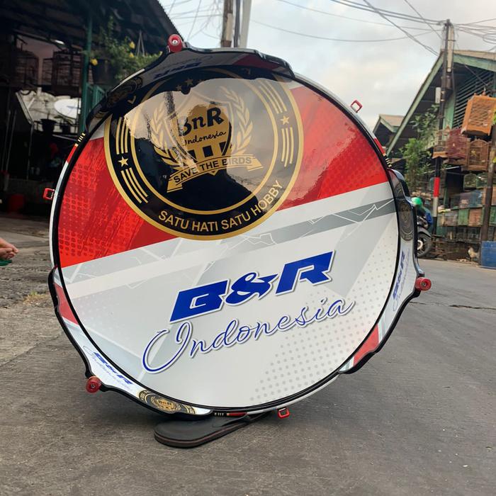 Bnr Indonesia Logo Tropical Flame