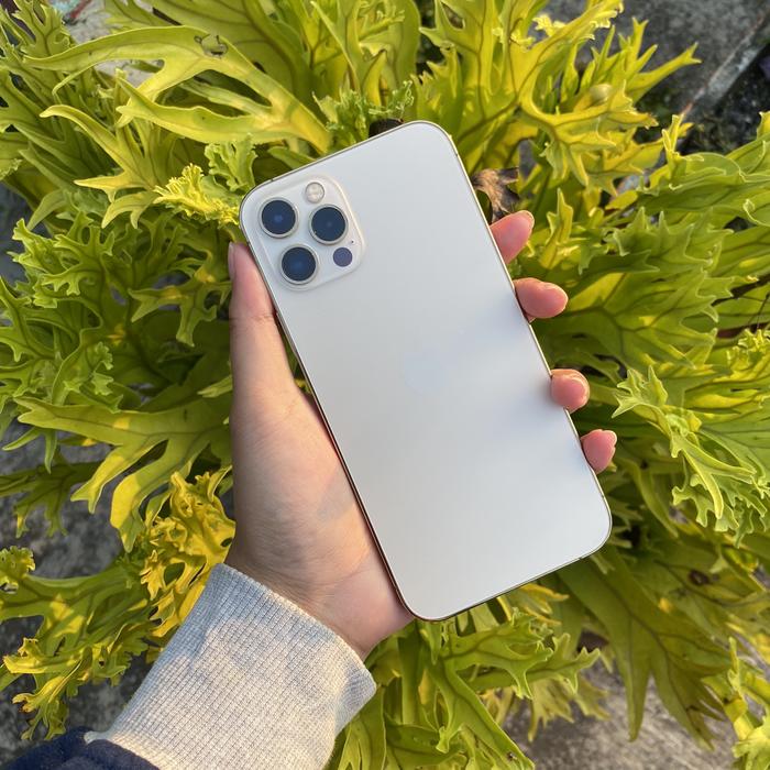Gambar iphone 12 pro 256gb dari bebi_gadgetstore2 undefined Tokopedia