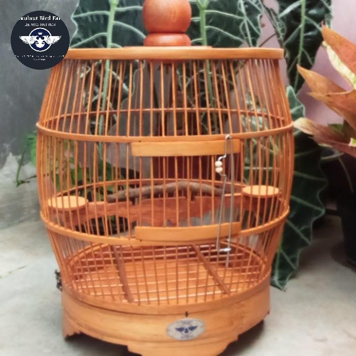 Gambar Sangkar Jemur Perkutut Model Kendang Bambu Full Halus dengan Tinggi 50cm dan Diameter 38cm dari Pakulaut Sangkar undefined Tokopedia