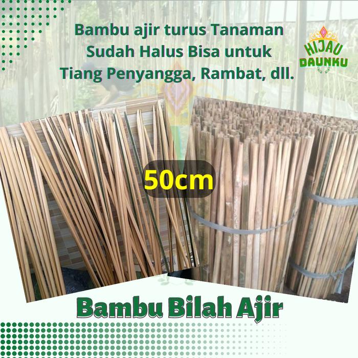 Gambar Pring Bambu Bilah Ajir Turus 50cm Penyanggah Tanaman Kebun Rambat - 30cm dari Hijaudaunku undefined Tokopedia