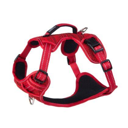Gambar Rogz SJX11 - Dog Utility Explore Harness MEDIUM Reflective - C-Red dari WOOFINDO undefined Tokopedia