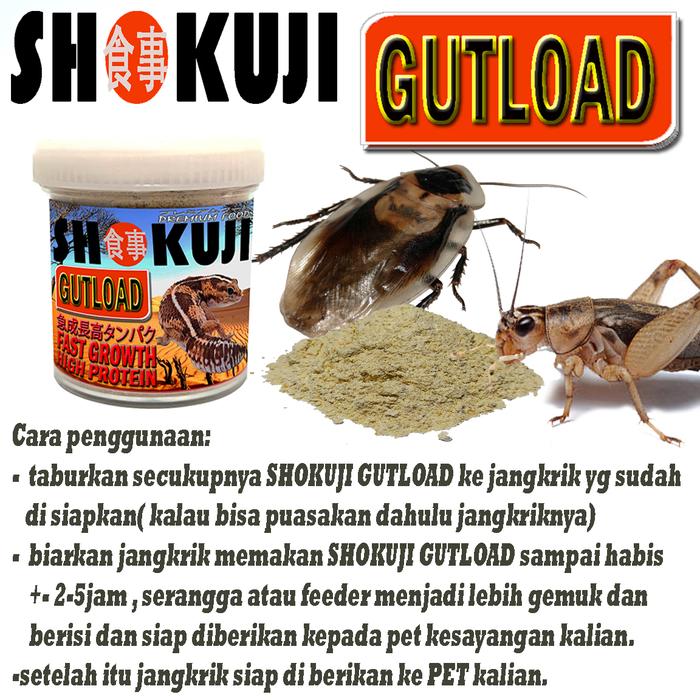 Gambar JELLY WATER MINUMAN JANGKRIK KECOA ULAT PAKAN REPTILE GECKO BD TOKEK - GUTLOAD 15GR dari REPTILESTORE. ID undefined Tokopedia