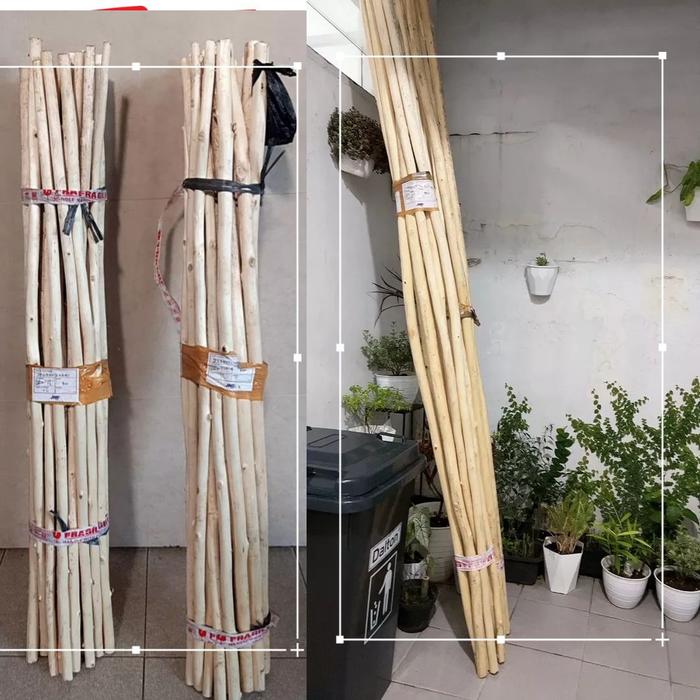 Gambar Teak Wood Branch Art for Home Decor - 100 cm dari Alberoid Official undefined Tokopedia
