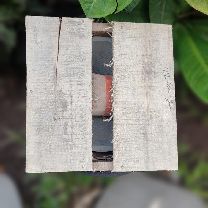 Gambar Cobek Batu Kali Hitam/ Watu Item 20cm Super Halus Tahan Jamur + Ulekan - Packing Kayu dari MunTHuCom undefined Tokopedia