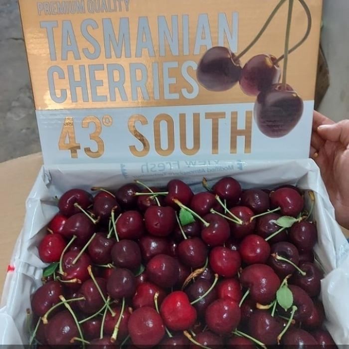 Gambar Buah Cherry Tasmanian 43° South 2 kg fresh, Enak, Garing/Cherry Fresh dari einstein toys shopp undefined Tokopedia