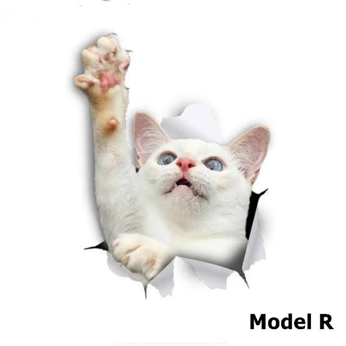 Gambar Stiker kucing 3D tahan hujan dan panas bahan decal glossy mengkilau - Model R dari STARR BERKAH undefined Tokopedia
